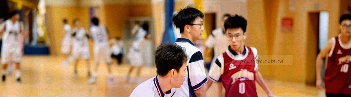 抽象文件与数据符号组合图形，代表赛事数据使用说明与访问规范
